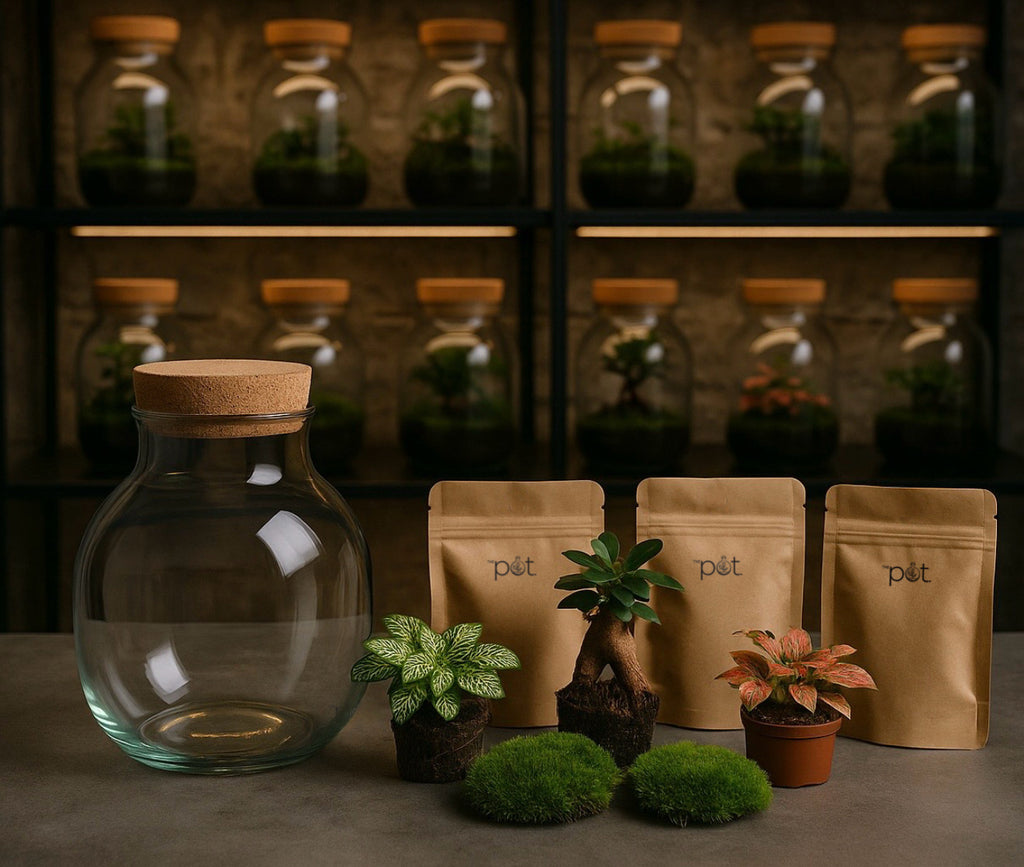 Earth Inside Kit